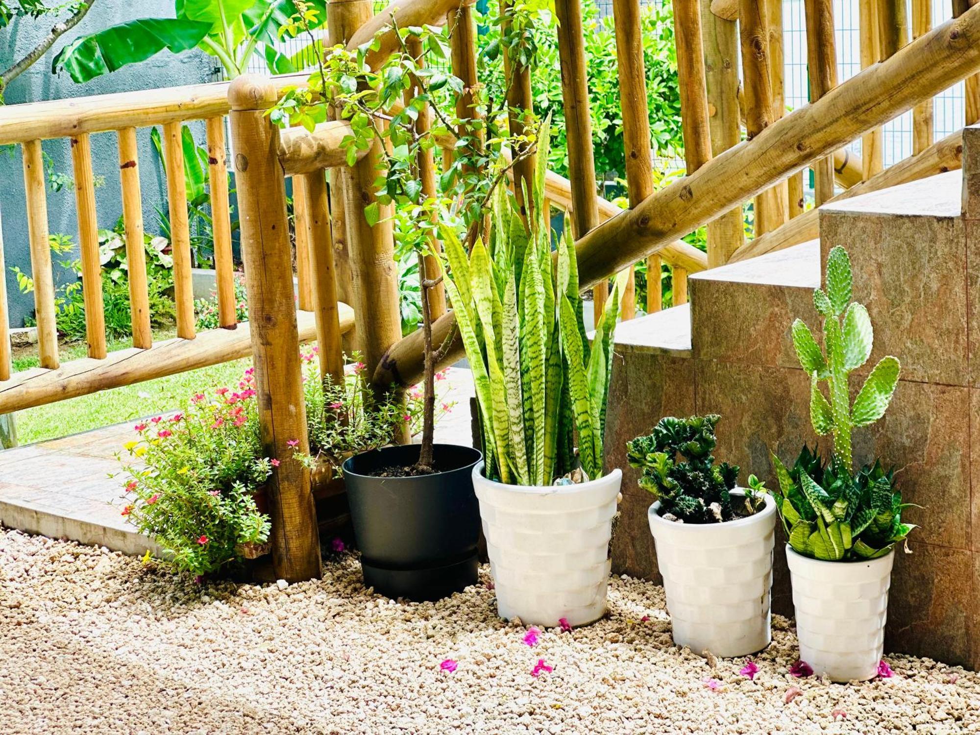 Lavender Hotel Le Morne Ngoại thất bức ảnh