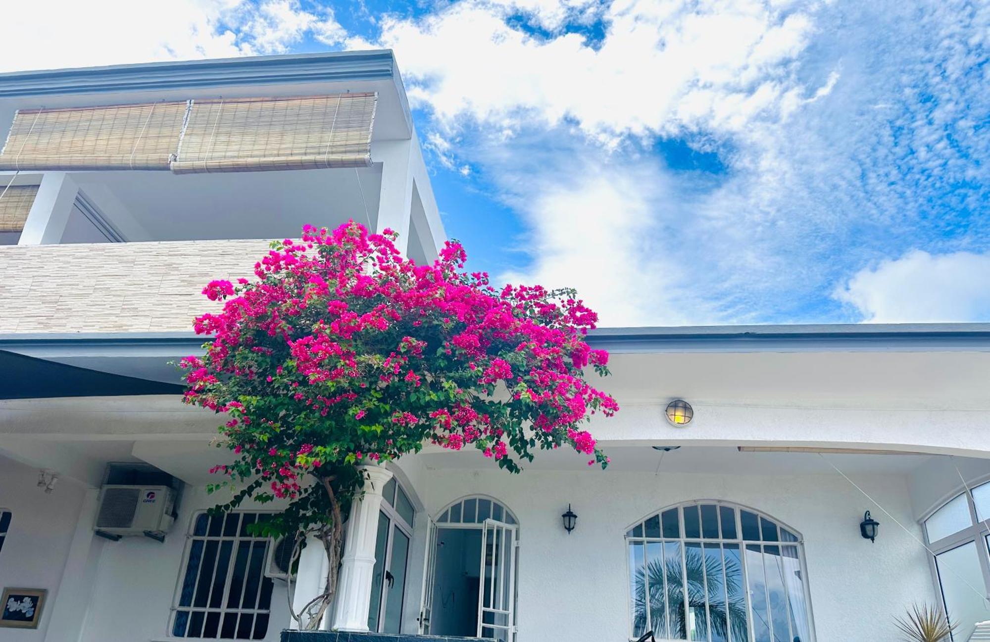 Lavender Hotel Le Morne Ngoại thất bức ảnh