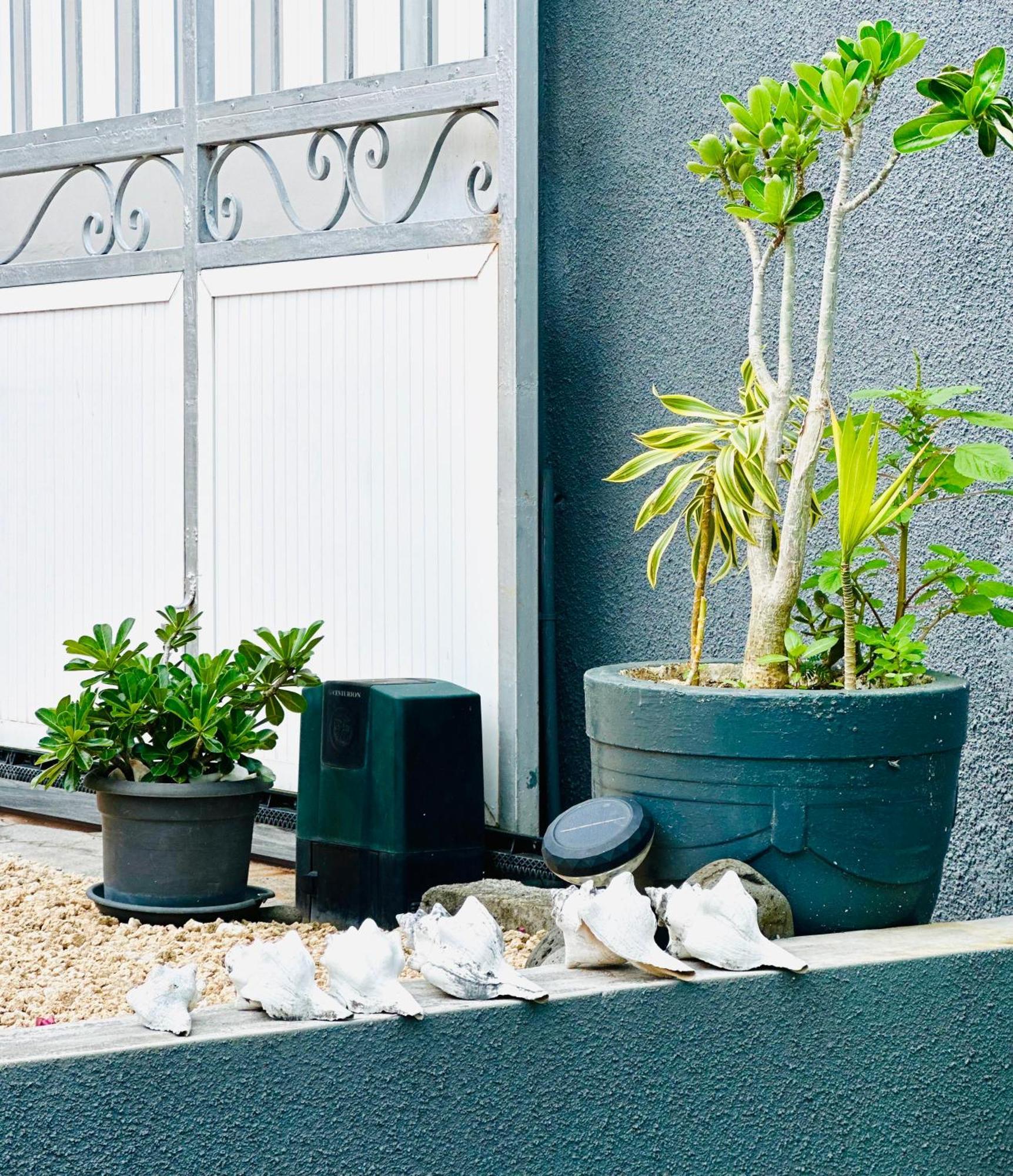 Lavender Hotel Le Morne Ngoại thất bức ảnh