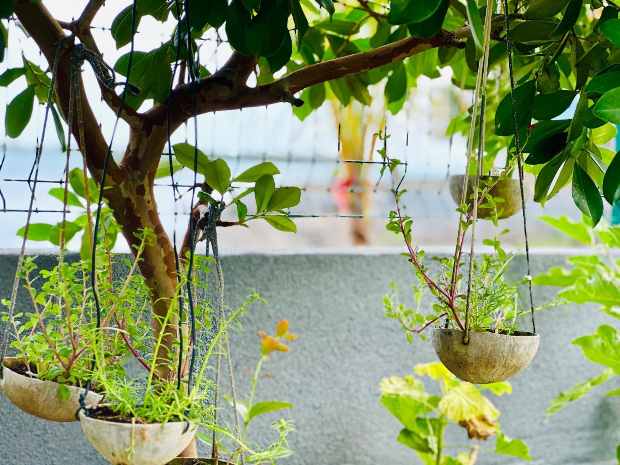 Lavender Hotel Le Morne Ngoại thất bức ảnh